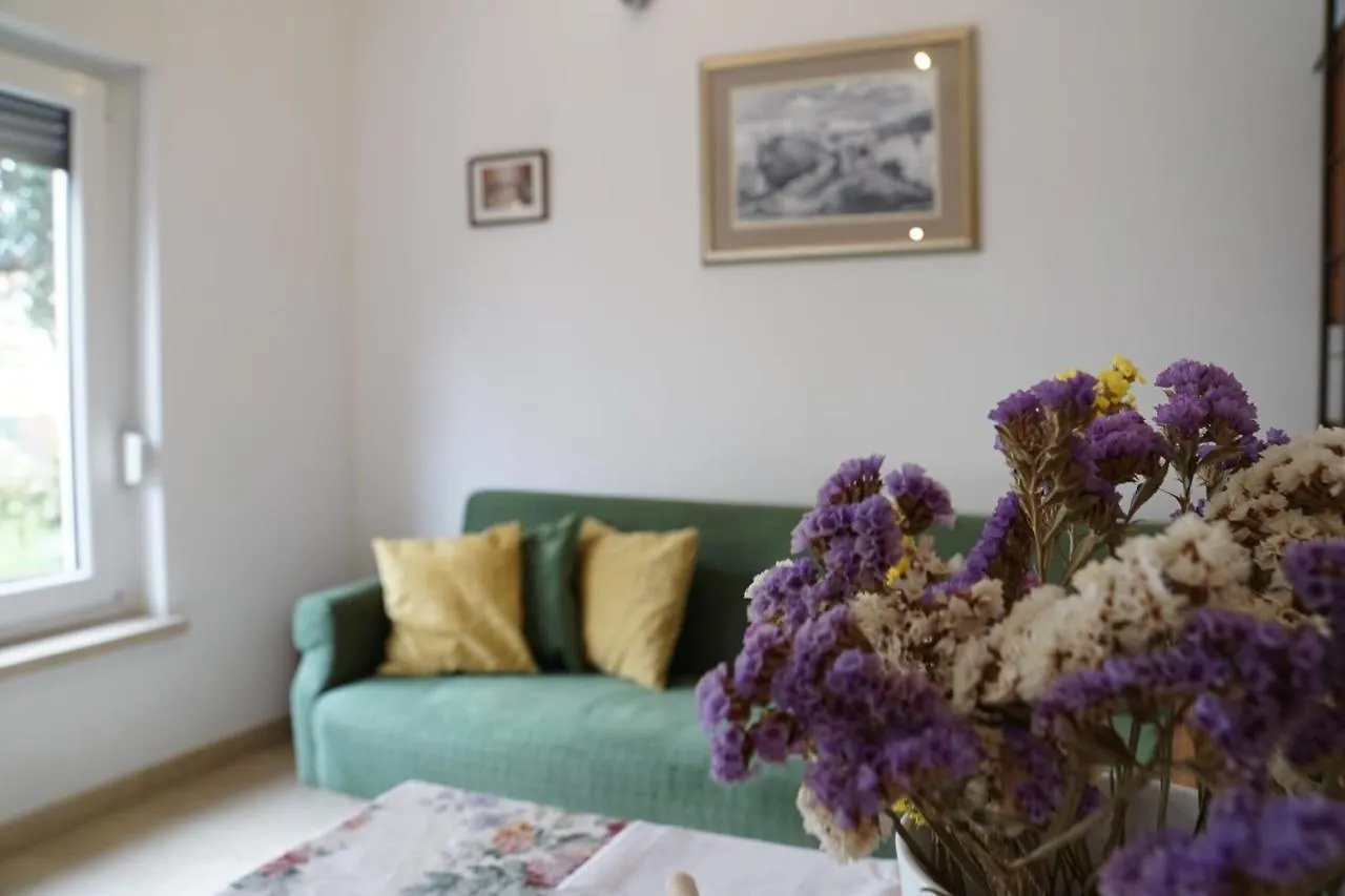 Apartment Flora Pula 0*,